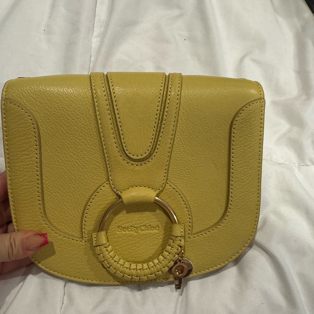 Chloe new with dust bag. Never been worn
